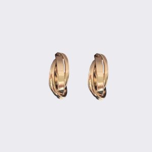Intertwined Earrings